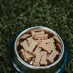 Jeleni Jar Lejlighed