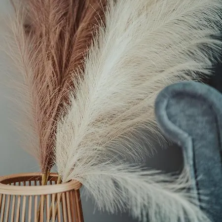 Jeleni Jar Appartement Duszniki Zdrój