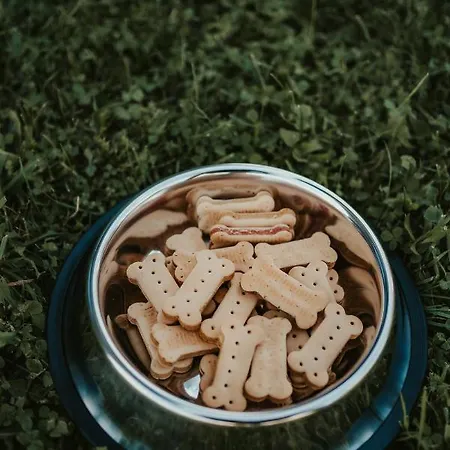 Jeleni Jar Appartement