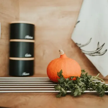 Appartement Jeleni Jar *