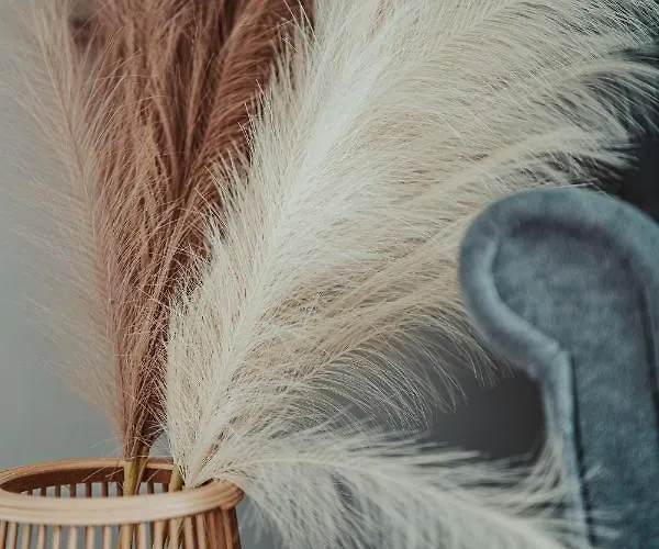 Jeleni Jar Apartment Duszniki Zdrój