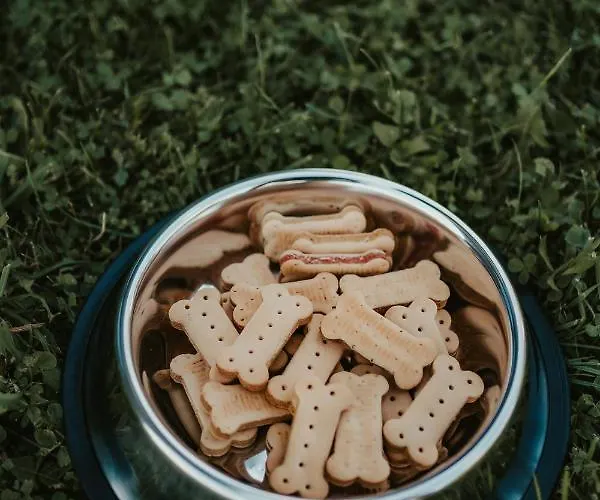 Jeleni Jar Lägenhet