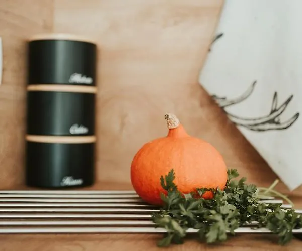 Apartment Jeleni Jar *